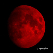 Red Moon - Kelowna Fires