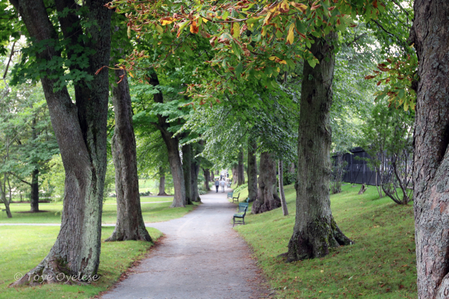 Park in Halifax, Nova Scotia