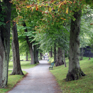 Park in Halifax, Nova Scotia