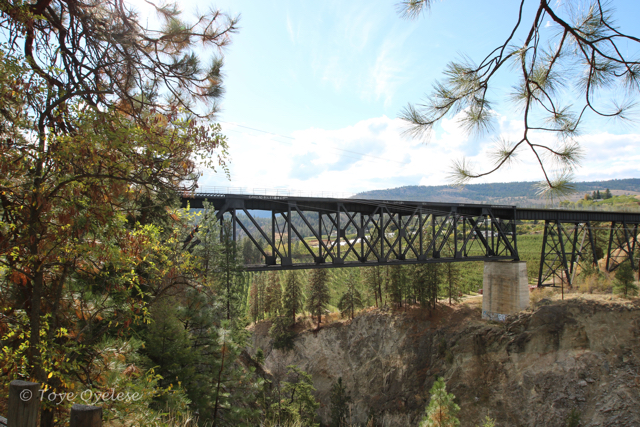 Trestle - Summerland