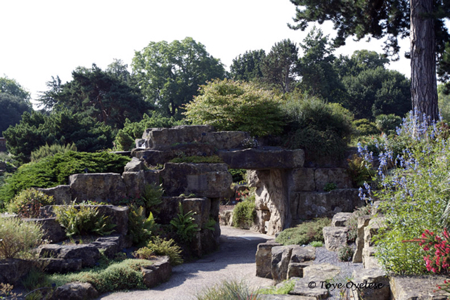 Yew Garden
