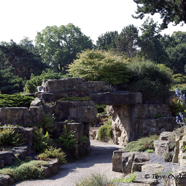 Yew Garden